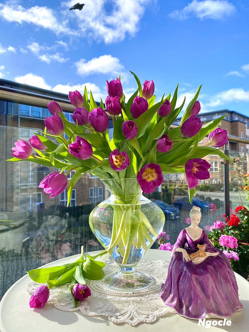 Tử vi ngày 10/7/2022 của 12 cung hoàng đạo